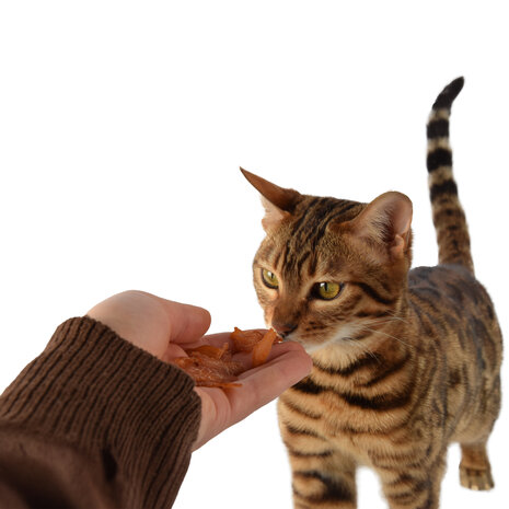 Discountershop 3x Smakelijke Kip Traktatie - Hoogwaardige Traktaties voor Katten - 85g Zak - Met 80% Kip - Zonder Suiker Discountershop 3x Smakelijke Kip Traktatie - Hoogwaardige Traktaties voor Katten - 85g Zak - Met 80% Kip - Zonder Suiker