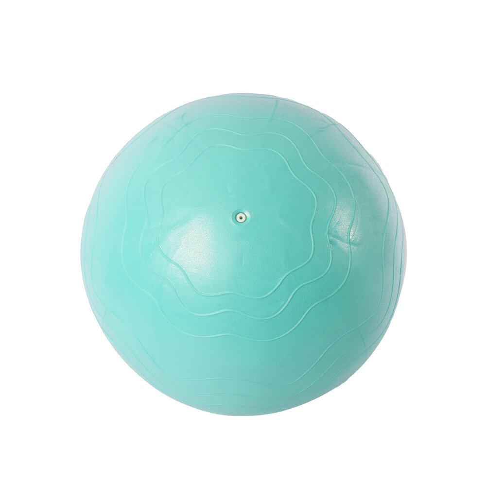 Discountershop Duurzame PVC Gymball in Groen & Munt | 65cm Diameter Anti-Burst Yoga Bal | Fitnessbal voor Yoga Pilates en Gymnastiek |  Inclusief Oefeningen voor Yogabal Rugpijn en Meer Discountershop Duurzame PVC Gymball in Groen & Munt | 65cm Diameter Anti-Burst Yoga Bal | Fitnessbal voor Yoga Pilates en Gymnastiek |  Inclusief Oefeningen voor Yogabal Rugpijn en Meer