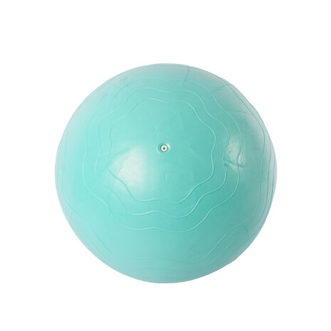 Discountershop Duurzame PVC Gymball in Groen & Munt | 65cm Diameter Anti-Burst Yoga Bal | Fitnessbal voor Yoga Pilates en Gymnastiek |  Inclusief Oefeningen voor Yogabal Rugpijn en Meer Discountershop Duurzame PVC Gymball in Groen & Munt | 65cm Diameter Anti-Burst Yoga Bal | Fitnessbal voor Yoga Pilates en Gymnastiek |  Inclusief Oefeningen voor Yogabal Rugpijn en Meer