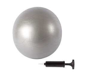 Discountershop Gym Ball in PVC Material Grey | Anti-Burst Fitness Ball 65cm | Exercise Ball for Yoga Pilates Gymnastics and Stability Exercises Discountershop Gym Ball in PVC Material Grey | Anti-Burst Fitness Ball 65cm | Exercise Ball for Yoga Pilates Gymnastics and Stability Exercises