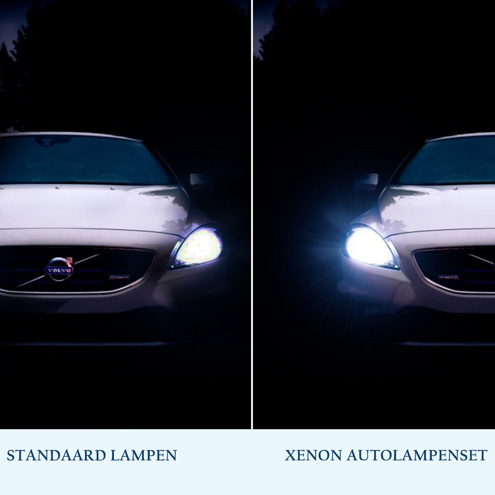 Discountershop Autolampen | Koplampen | Blauw | Halogeenlampen | Xenonlampen | Gloeilamp | 12 V | H7 | 55 W