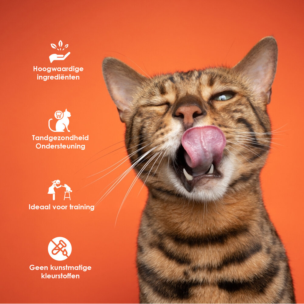 Discountershop 8x Smakelijke Kip Traktatie - Hoogwaardige Traktaties voor Katten - 85g Zak - Met 80% Kip - Zonder Suiker Discountershop 8x Smakelijke Kip Traktatie - Hoogwaardige Traktaties voor Katten - 85g Zak - Met 80% Kip - Zonder Suiker