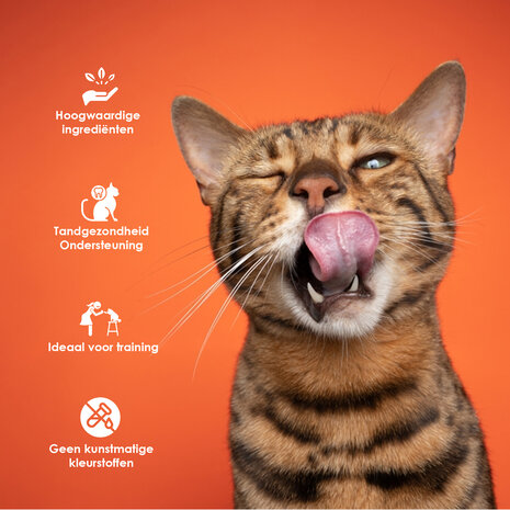 Discountershop 8x Smakelijke Kip Traktatie - Hoogwaardige Traktaties voor Katten - 85g Zak - Met 80% Kip - Zonder Suiker Discountershop 8x Smakelijke Kip Traktatie - Hoogwaardige Traktaties voor Katten - 85g Zak - Met 80% Kip - Zonder Suiker