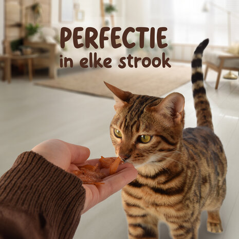 Discountershop 8x Smakelijke Kip Traktatie - Hoogwaardige Traktaties voor Katten - 85g Zak - Met 80% Kip - Zonder Suiker Discountershop 8x Smakelijke Kip Traktatie - Hoogwaardige Traktaties voor Katten - 85g Zak - Met 80% Kip - Zonder Suiker