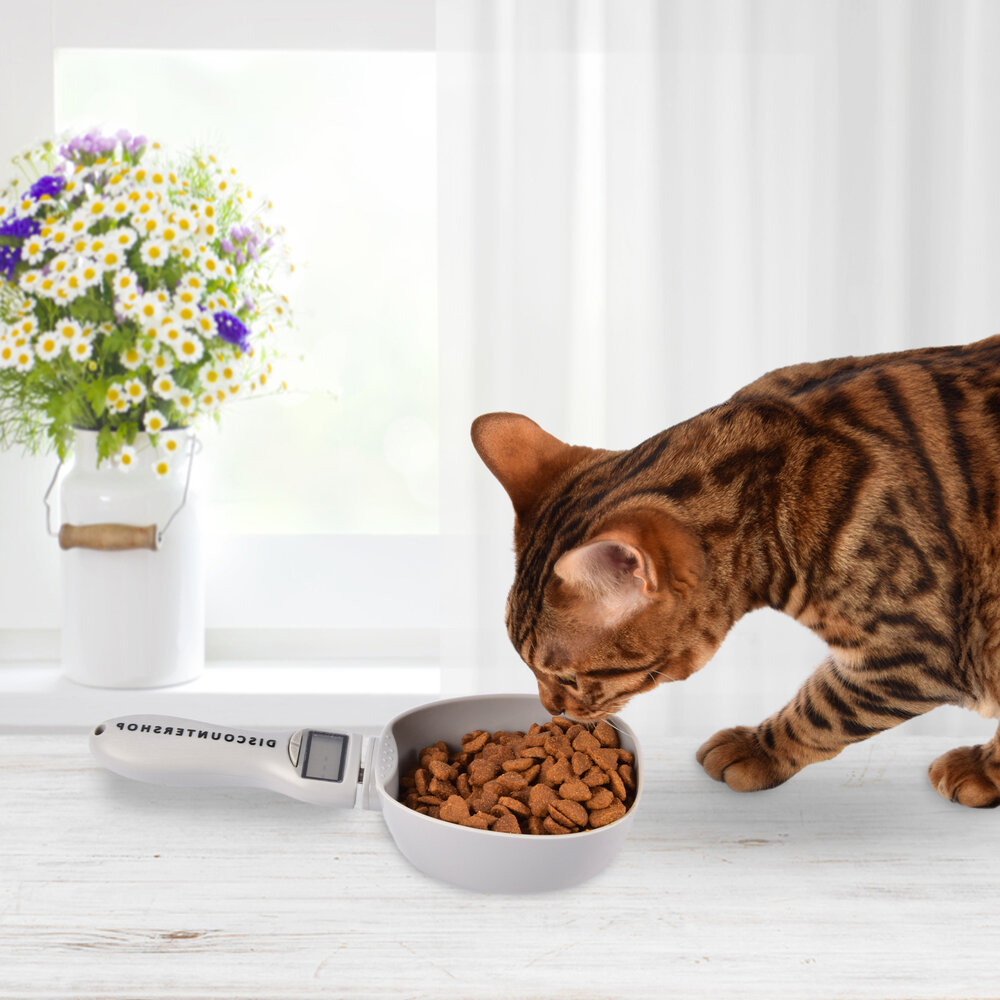 Discountershop Digitale Voerscheppen Voor Hond Lepel | 1 Stuk | 3V CR2032 Batterij Vereist | 9cm x 23cm x 5cm | Grijs | Elektronische Weegschaal Maatschepjes Voor Huisdieren | ABS Materiaal | Digitale Voedsel Maatschep Discountershop Digitale Voerscheppen Voor Hond Lepel | 1 Stuk | 3V CR2032 Batterij Vereist | 9cm x 23cm x 5cm | Grijs | Elektronische Weegschaal Maatschepjes Voor Huisdieren | ABS Materiaal | Digitale Voedsel Maatschep