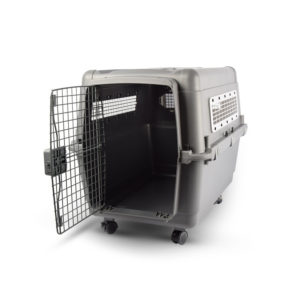 Discountershop Stevige Draagbox | Transport Bench Hond | 80cm x 65.5cm x 56cm | Donkergrijs | 2 Handvaten | Deur met Draaivergrendeling | 2 Verwijderbare Bakjes | Ventilatie Opening | Kunststof/Metalen Discountershop Stevige Draagbox | Transport Bench Hond | 80cm x 65.5cm x 56cm | Donkergrijs | 2 Handvaten | Deur met Draaivergrendeling | 2 Verwijderbare Bakjes | Ventilatie Opening | Kunststof/Metalen