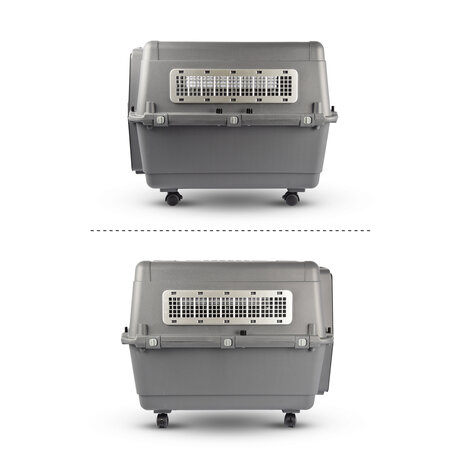 Discountershop Stevige Draagbox | Transport Bench Hond | 80cm x 65.5cm x 56cm | Donkergrijs | 2 Handvaten | Deur met Draaivergrendeling | 2 Verwijderbare Bakjes | Ventilatie Opening | Kunststof/Metalen Discountershop Stevige Draagbox | Transport Bench Hond | 80cm x 65.5cm x 56cm | Donkergrijs | 2 Handvaten | Deur met Draaivergrendeling | 2 Verwijderbare Bakjes | Ventilatie Opening | Kunststof/Metalen