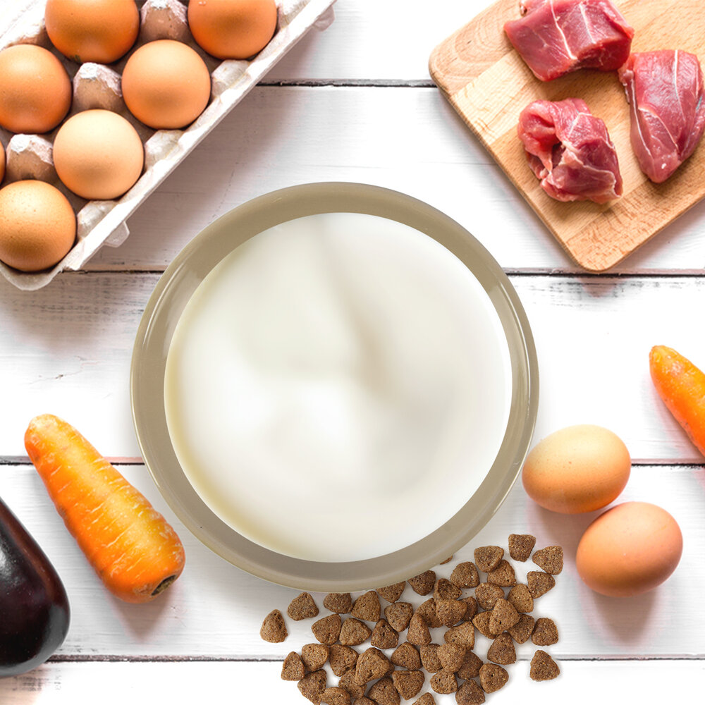 Discountershop Keramiek Drinkbak | Kat Voerbak | Ronde Waterbak | Taupe | 20cm x 20cm x 3.5cm | Onderhoudsvriendelijk | Antislip | Vaatwasmachinebestendig | 500ml Discountershop Keramiek Drinkbak | Kat Voerbak | Ronde Waterbak | Taupe | 20cm x 20cm x 3.5cm | Onderhoudsvriendelijk | Antislip | Vaatwasmachinebestendig | 500ml