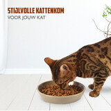 Discountershop Keramiek Drinkbak | Kat Voerbak | Ronde Waterbak | Taupe | 20cm x 20cm x 3.5cm | Onderhoudsvriendelijk | Antislip | Vaatwasmachinebestendig | 500ml Discountershop Keramiek Drinkbak | Kat Voerbak | Ronde Waterbak | Taupe | 20cm x 20cm x 3.5cm | Onderhoudsvriendelijk | Antislip | Vaatwasmachinebestendig | 500ml