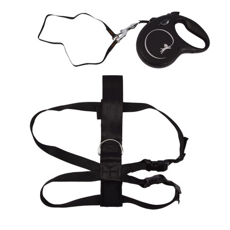 Merkloos Flexi DogLeash and Harness Set | Size L | Best Dog Harness and No Pull Dog Harness for Dogs up to 50kg | Adjustable Comfortable and Safe | Perfect Fit Dog Harness with Carabiner and Multi Box Connection Merkloos Flexi DogLeash and Harness Set | Size L | Best Dog Harness and No Pull Dog Harness for Dogs up to 50kg | Adjustable Comfortable and Safe | Perfect Fit Dog Harness with Carabiner and Multi Box Connection