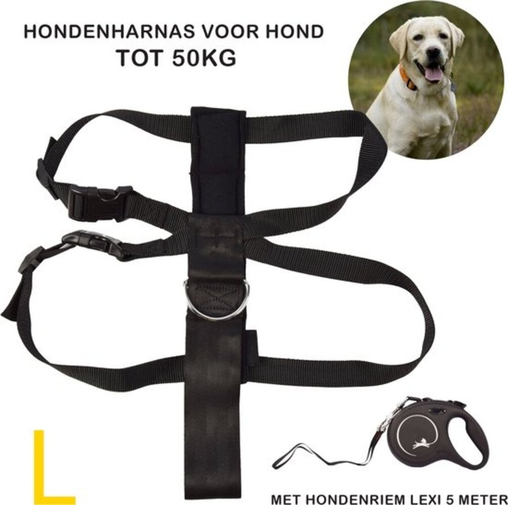 Merkloos Flexi Hondenriem En Hondenharnas Set | Maat L | 5 Meter Lange Hondenriem | Zwart Comfortabel Remsysteem | Stevige Tape | Geschikt Voor Honden Tot 50kg | Hondenharnas Van Nylon | Verstelbaar Met Klikgesp Merkloos Flexi Hondenriem En Hondenharnas Set | Maat L | 5 Meter Lange Hondenriem | Zwart Comfortabel Remsysteem | Stevige Tape | Geschikt Voor Honden Tot 50kg | Hondenharnas Van Nylon | Verstelbaar Met Klikgesp
