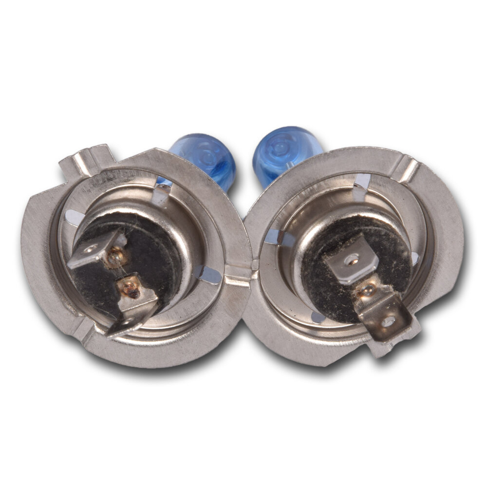 Discountershop Autolampen | Koplampen | Blauw | Halogeenlampen | Xenonlampen | Gloeilamp | 12 V | H7 | 55 W