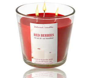 Delaram Grote Geurkaars Rood Berry - Goedkope Geurkaarsen Online voor Woonkamer & Eatkamer - 48 uur brandduur - Drie Lonten Dinerkaars Delaram Grote Geurkaars Rood Berry - Goedkope Geurkaarsen Online voor Woonkamer & Eatkamer - 48 uur brandduur - Drie Lonten Dinerkaars