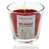 Delaram Geurkaars Berries - Rood - 30 uur Branduren - Goedkope Geurkaarsen voor Woonkamer & Slaapkamer Delaram Geurkaars Berries - Rood - 30 uur Branduren - Goedkope Geurkaarsen voor Woonkamer & Slaapkamer