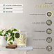 Merkloos Geurkaars in Glas sandalwood Jasmine - Luxe Scented Candle - 34 uur Brandduur