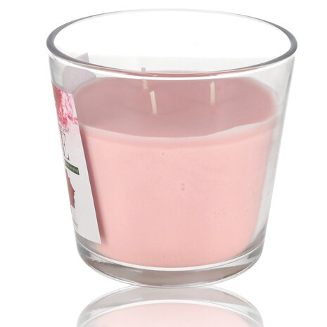 Delaram Geurkaars Roos - Grote Mooie Kaarsen - 48 uur Branduren - Romantische Kaarsen voor Valentijn Delaram Geurkaars Roos - Grote Mooie Kaarsen - 48 uur Branduren - Romantische Kaarsen voor Valentijn