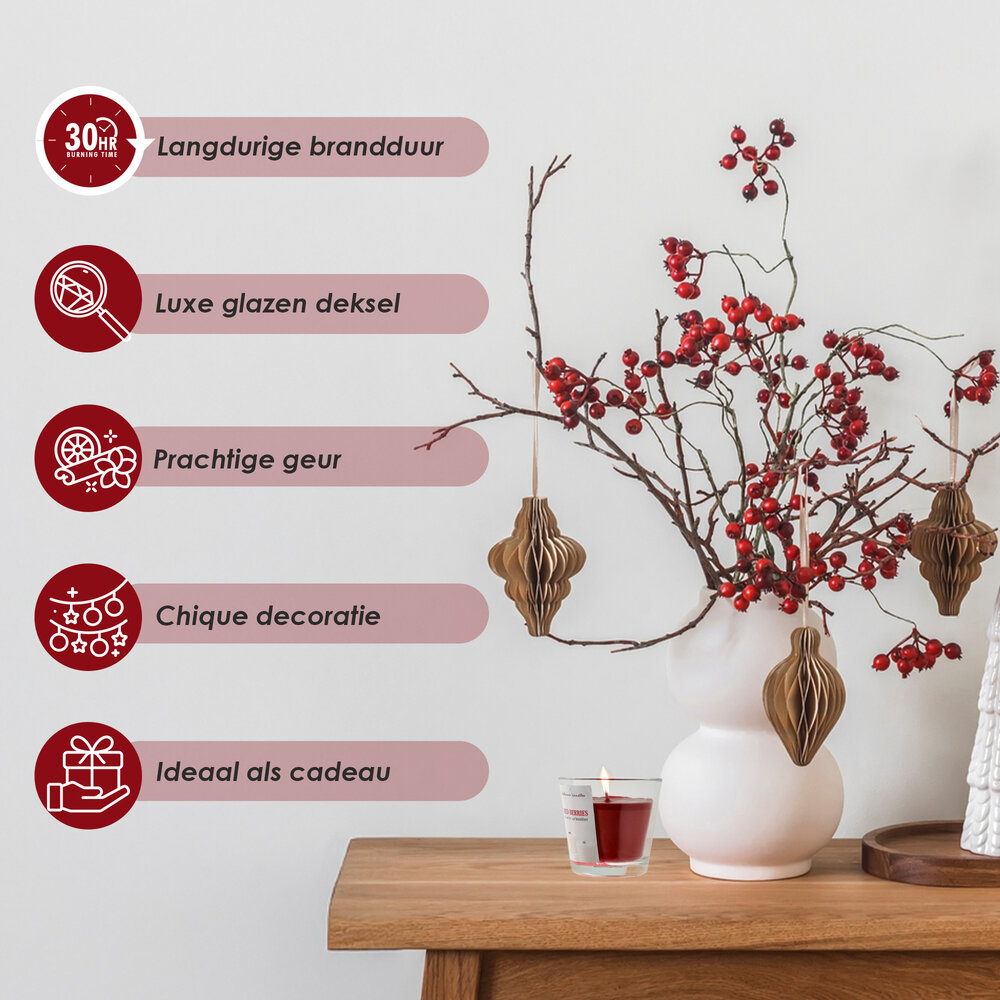 Delaram Geurkaars Berries -  Rood  - 30 uur Branduren - Goedkope Geurkaarsen voor Woonkamer & Slaapkamer Delaram Geurkaars Berries -  Rood  - 30 uur Branduren - Goedkope Geurkaarsen voor Woonkamer & Slaapkamer