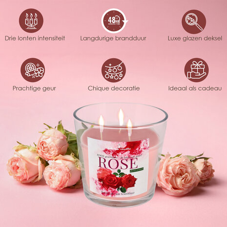 Delaram Geurkaars Roos - Grote Mooie Kaarsen - 48 uur Branduren - Romantische Kaarsen voor Valentijn Delaram Geurkaars Roos - Grote Mooie Kaarsen - 48 uur Branduren - Romantische Kaarsen voor Valentijn