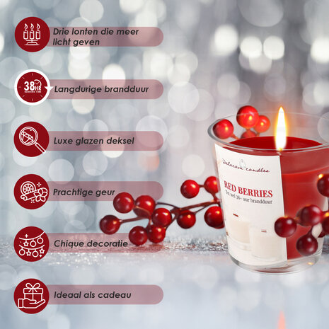 Delaram Scented Candles for Bedroom & Living Room - 38 hr Burning Time - Home Fragrance Candle Red Berry Delaram Scented Candles for Bedroom & Living Room - 38 hr Burning Time - Home Fragrance Candle Red Berry
