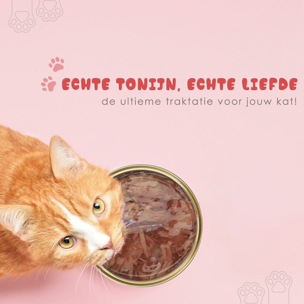 Merkloos 15x Wet Cat Food - Tuna in Jelly 85g - 51% Tuna & Rice - Juicy Tuna Gravy for Adult Cats Merkloos 15x Wet Cat Food - Tuna in Jelly 85g - 51% Tuna & Rice - Juicy Tuna Gravy for Adult Cats