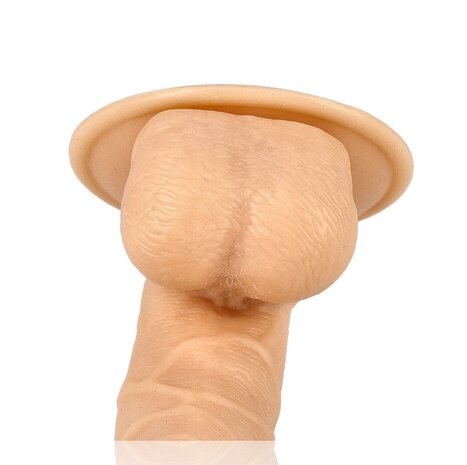 Discountershop Dildo with Suction Cup – Realistic Veined Silicone Dildo 20 cm – For Vaginal and Anal Stimulation – For Women and Men Discountershop Dildo with Suction Cup – Realistic Veined Silicone Dildo 20 cm – For Vaginal and Anal Stimulation – For Women and Men