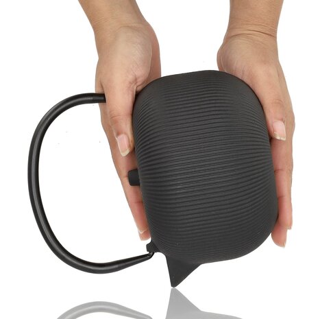 Discountershop Gietijzeren Theepot 1L met RVS Filter – Japanse Tetsubin Theepot voor Losse Thee