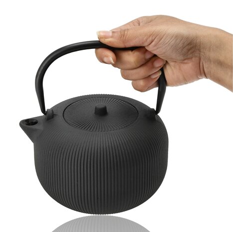 Discountershop Gietijzeren Theepot 1L met RVS Filter – Japanse Tetsubin Theepot voor Losse Thee