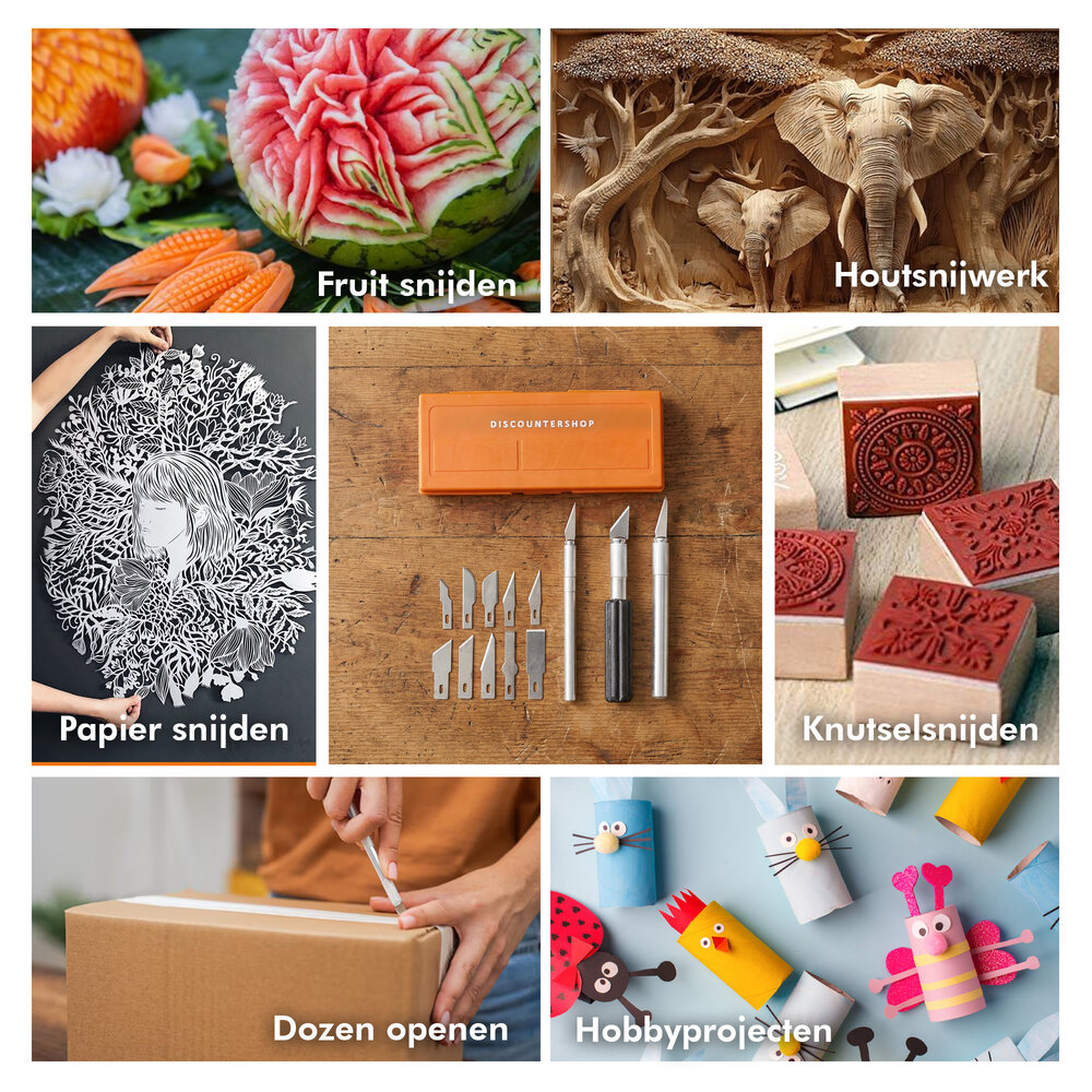 Discountershop Hobbymes Set 16-delig – Precisie Scalpelmessen met 3 Handgrepen en 13 Verwisselbare Mesjes voor Modelbouw en Hobby