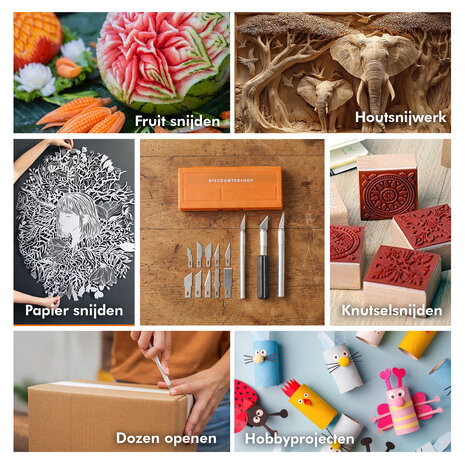 Discountershop Hobbymes Set 16-delig – Precisie Scalpelmessen met 3 Handgrepen en 13 Verwisselbare Mesjes voor Modelbouw en Hobby