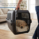 Discountershop Cat Carrier / Small Dog Crate 50x35x34 cm – Pet Transport Box for Cats & Small Dogs up to 5kg – Portable Travel Carrier – Detachable Plastic Pet Carrier Crate