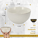 Discountershop Ceramic Soup Bowls 750 ml – Ramen Bowl Without Handle for Noodles, Muesli, Yogurt, Salad and Snacks – Grey Discountershop Ceramic Soup Bowls 750 ml – Ramen Bowl Without Handle for Noodles, Muesli, Yogurt, Salad and Snacks – Grey
