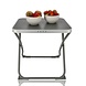 Discountershop Campingtafel inklapbaar 47,5x37,5 cm - Mini klaptafel met handvat, 49,5 cm hoog en belastbaar tot 30 kg
