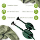 Discountershop Gieters Set – 10 Liter en 5 Liter Gieter Set Groen met Sproeikop – Tuingieter, Plantengieter en Bloemengieter voor Tuin, Balkon, Kamerplanten en Moestuin Discountershop Gieters Set – 10 Liter en 5 Liter Gieter Set Groen met Sproeikop – Tuingieter, Plantengieter en Bloemengieter voor Tuin, Balkon, Kamerplanten en Moestuin