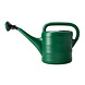 Discountershop 5 Litre Green Plastic Watering Can - Detachable Sprinkler Head for Indoor Plants, Flowers, Balcony, Patio, Greenhouse and Garden