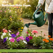 Discountershop Gieter 5 Liter met Sproeikop – Groene Kunststof Plantengieter voor Kamerplanten, Balkon, Tuin, Kas, Bloemen en Moestuin – Binnen en Buiten
