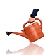 Discountershop Gieter 10 Liter met Sproeikop en Broeskop – Oranjebruine Kunststof Tuingieter voor Kamerplanten, Balkon, Tuin en Moestuin