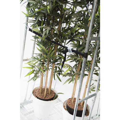 Roll Container 2 Sided - 870x600x1690mm, Clamping Gates, Tension Straps