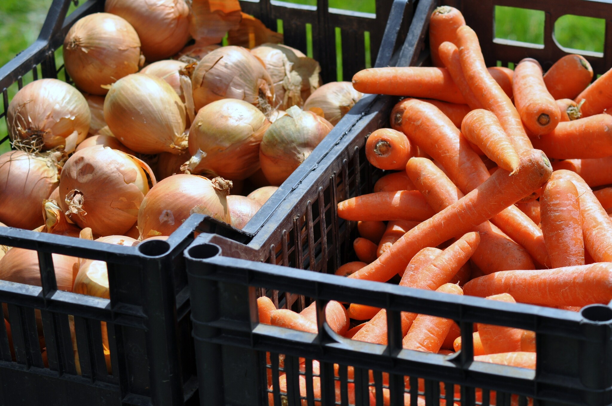 agri-crates-in-use