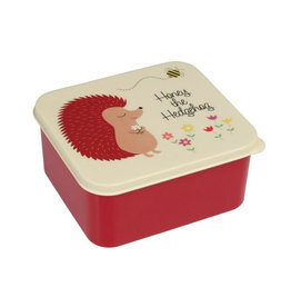 Lunchbox Honey the Hedgehog