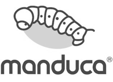 Manduca