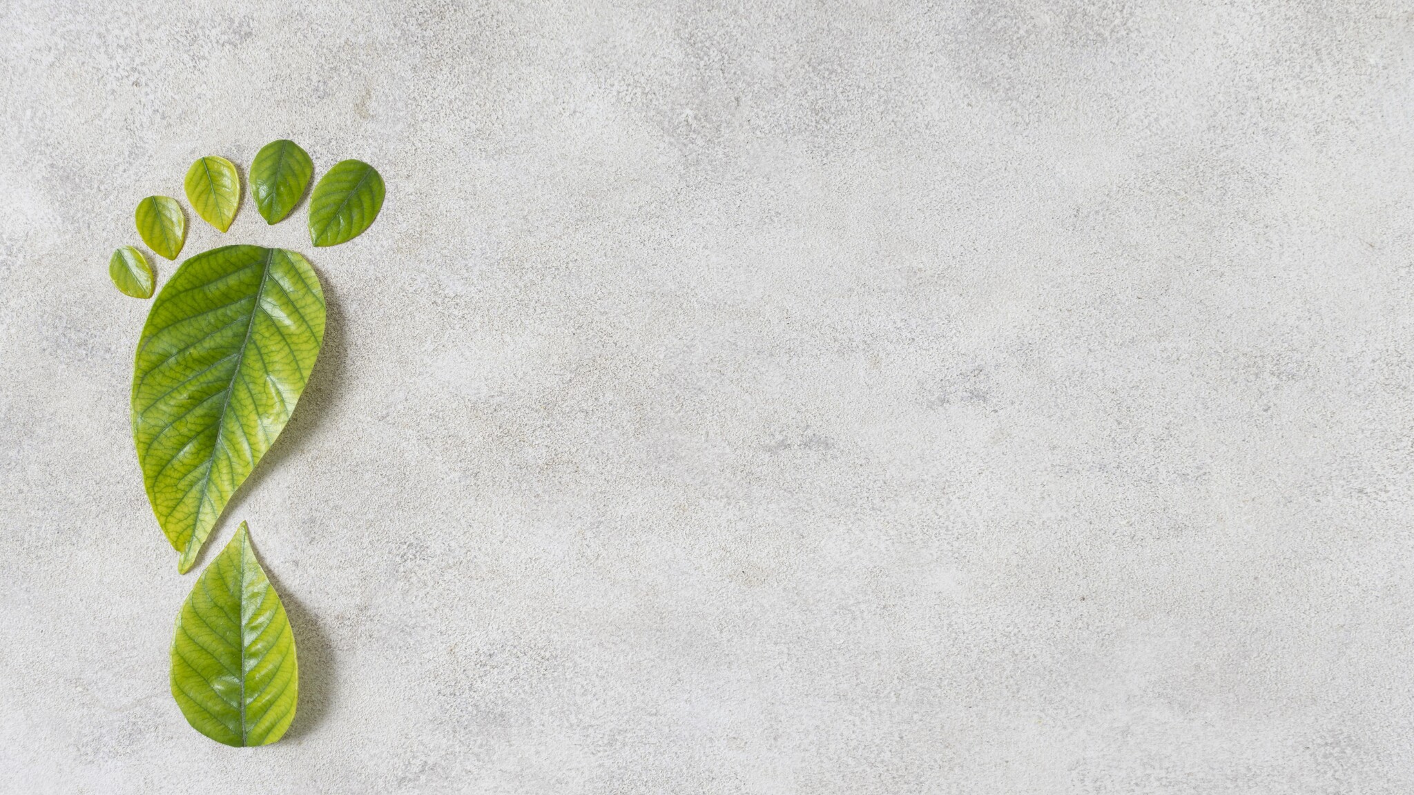 Duurzame items die niet mogen ontbreken in jouw kledingkast!