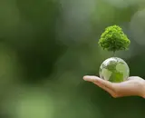 Conscious, Comfortable, and Sustainable – The Vision of Swaens