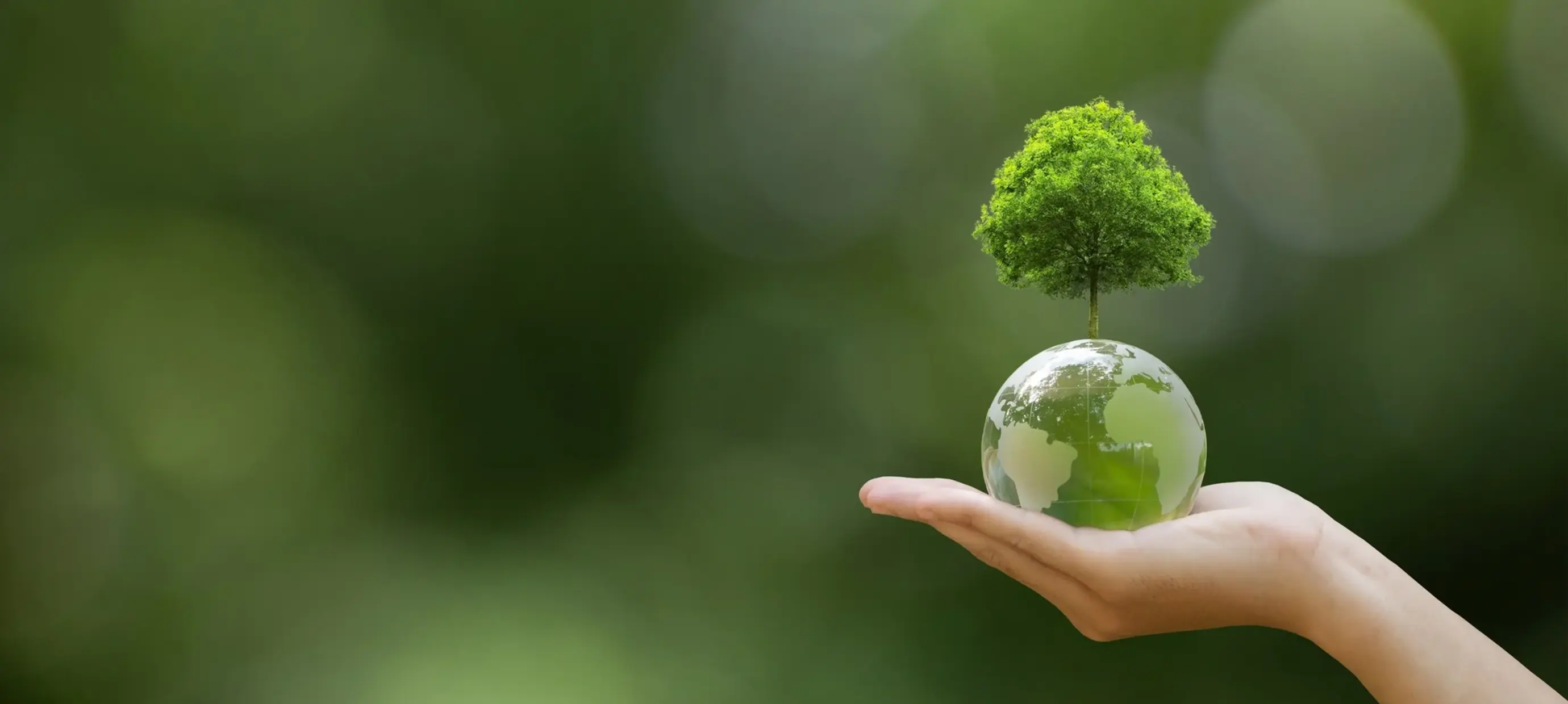 Conscious, Comfortable, and Sustainable – The Vision of Swaens