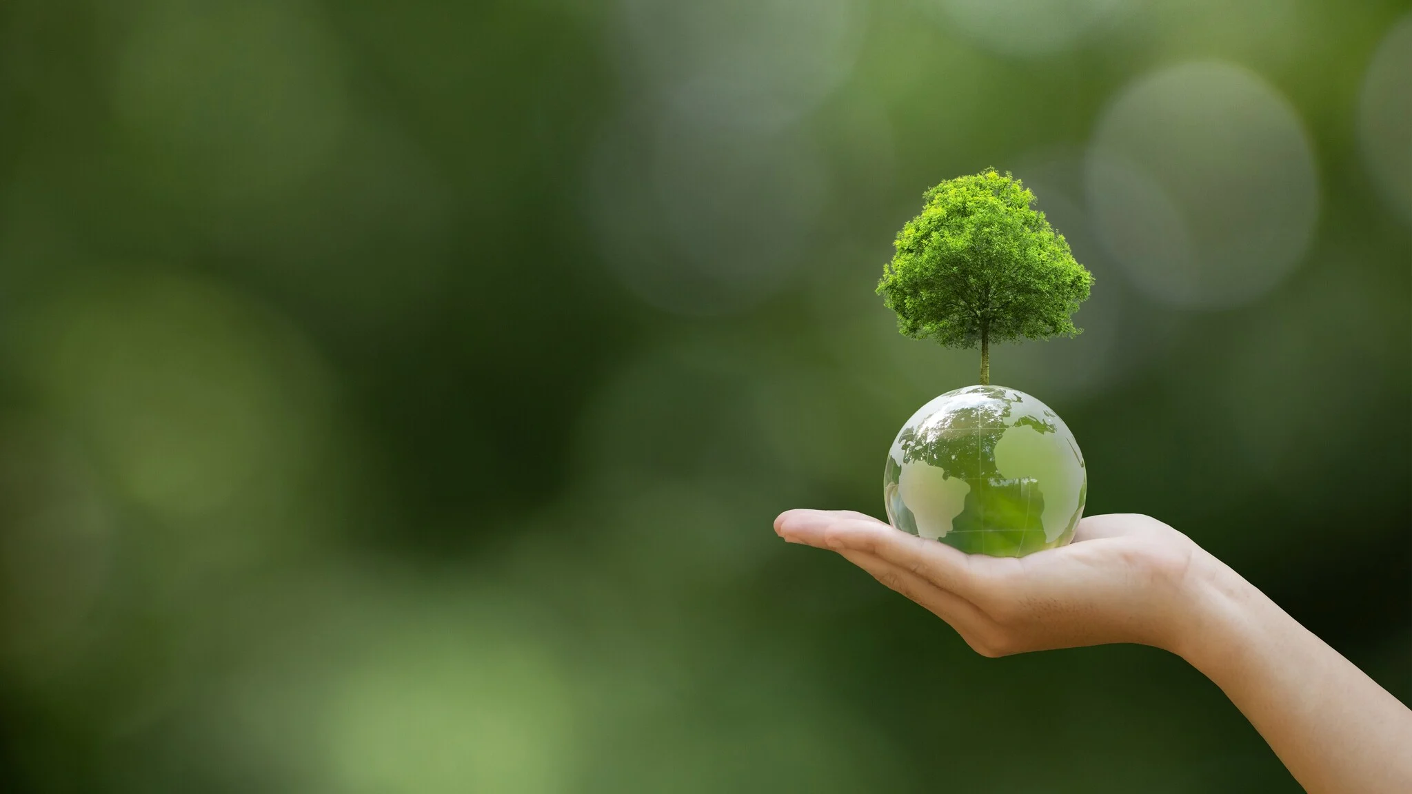 Conscious, Comfortable, and Sustainable – The Vision of Swaens