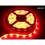 LED Strip Rood - 1 Meter - 60 LEDS Per Meter - Waterdicht