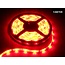 LED Strip Rood - 5 Meter - 60 LEDS Per Meter - Waterdicht