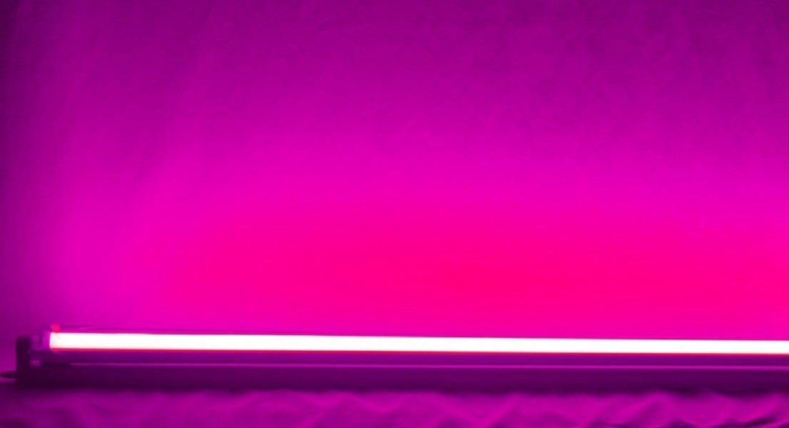 Erfenis Uitstroom verf LED TL Verlichting | Paars - Ledtohave