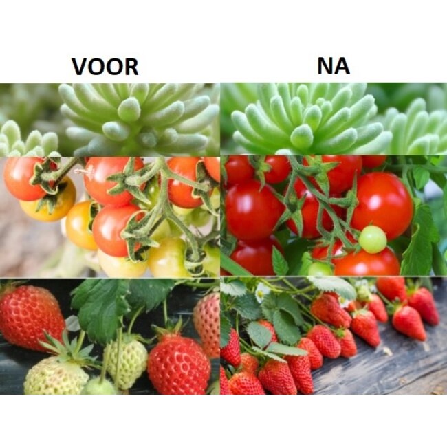 TL LED Buis Groeilamp - Full Spectrum  - 14 Watt - 90 cm - Met Armatuur