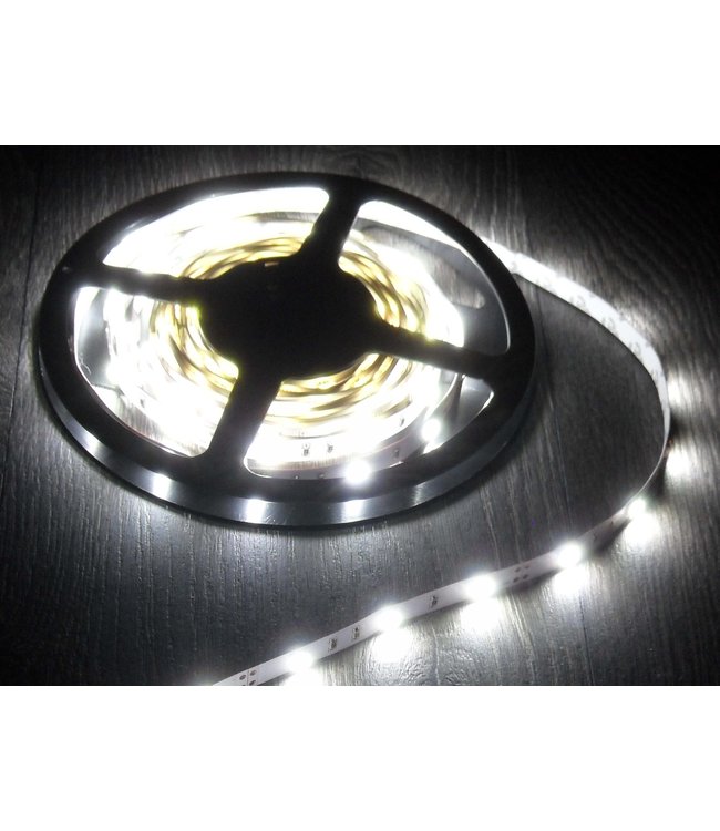 Wereldbol Nutteloos Misleidend LED Strip Koel Wit-3 Meter-60 LEDS Per Meter-Waterdicht - Ledtohave