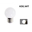 LED Bollamp E27 - 2 Watt - Koel Wit